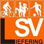 lsv logo org